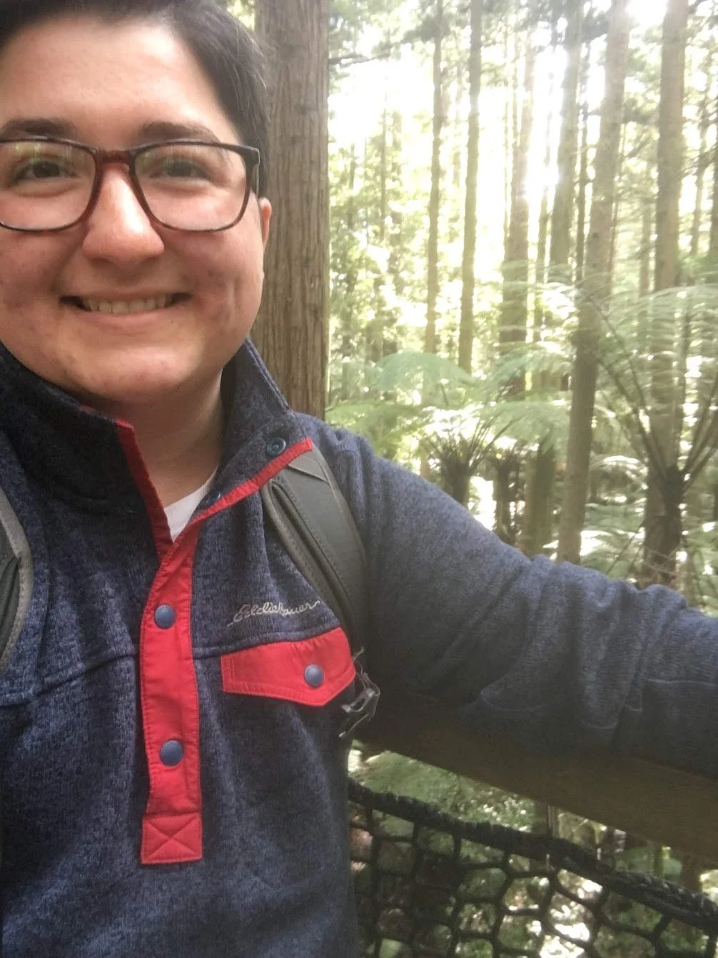 Chase Dost, Illinois