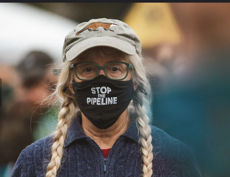 Donna Shaunesey, Virginia