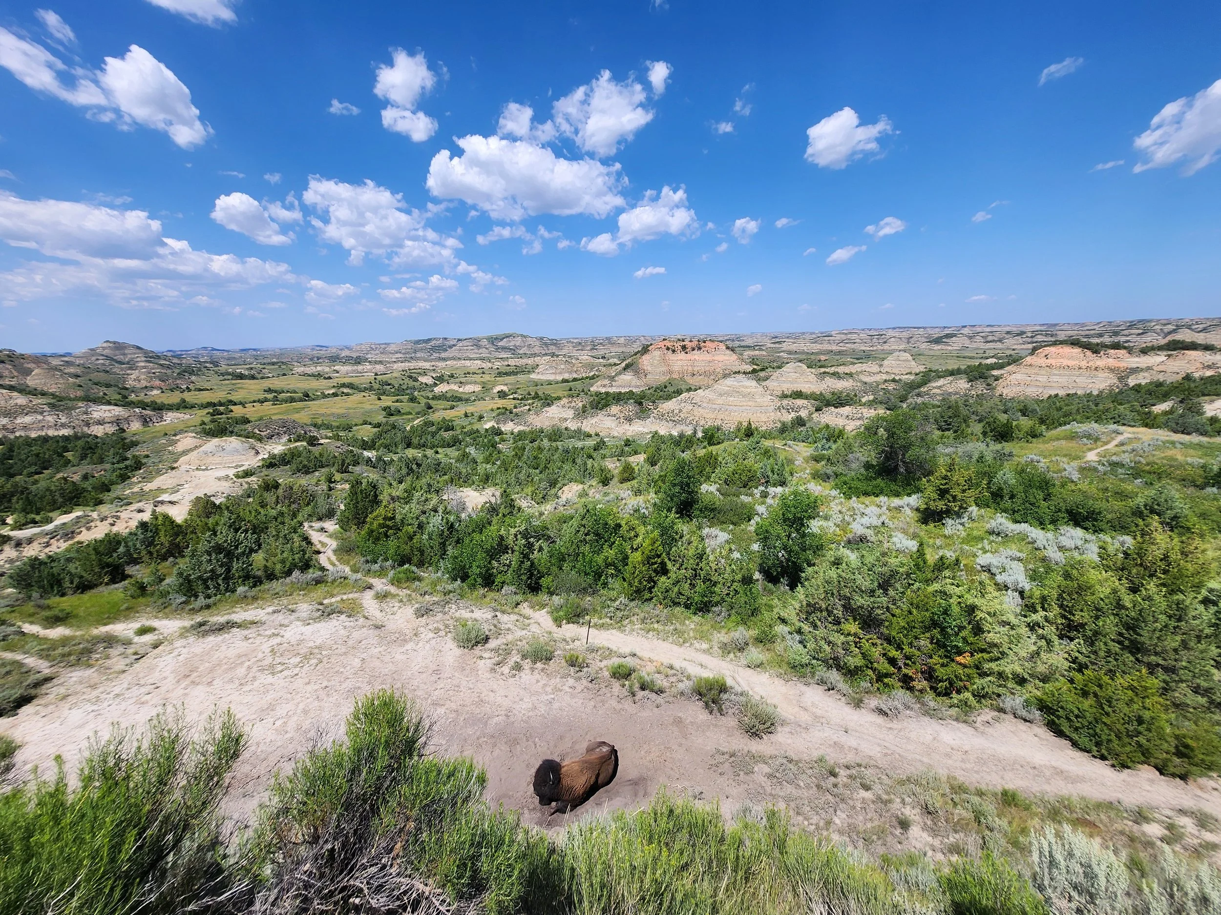 Jacob Klaameyer, Wisconsin