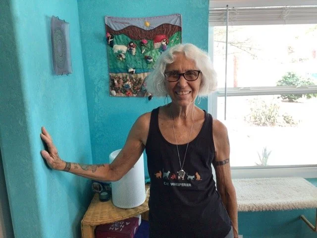 Lori Girshick, Arizona