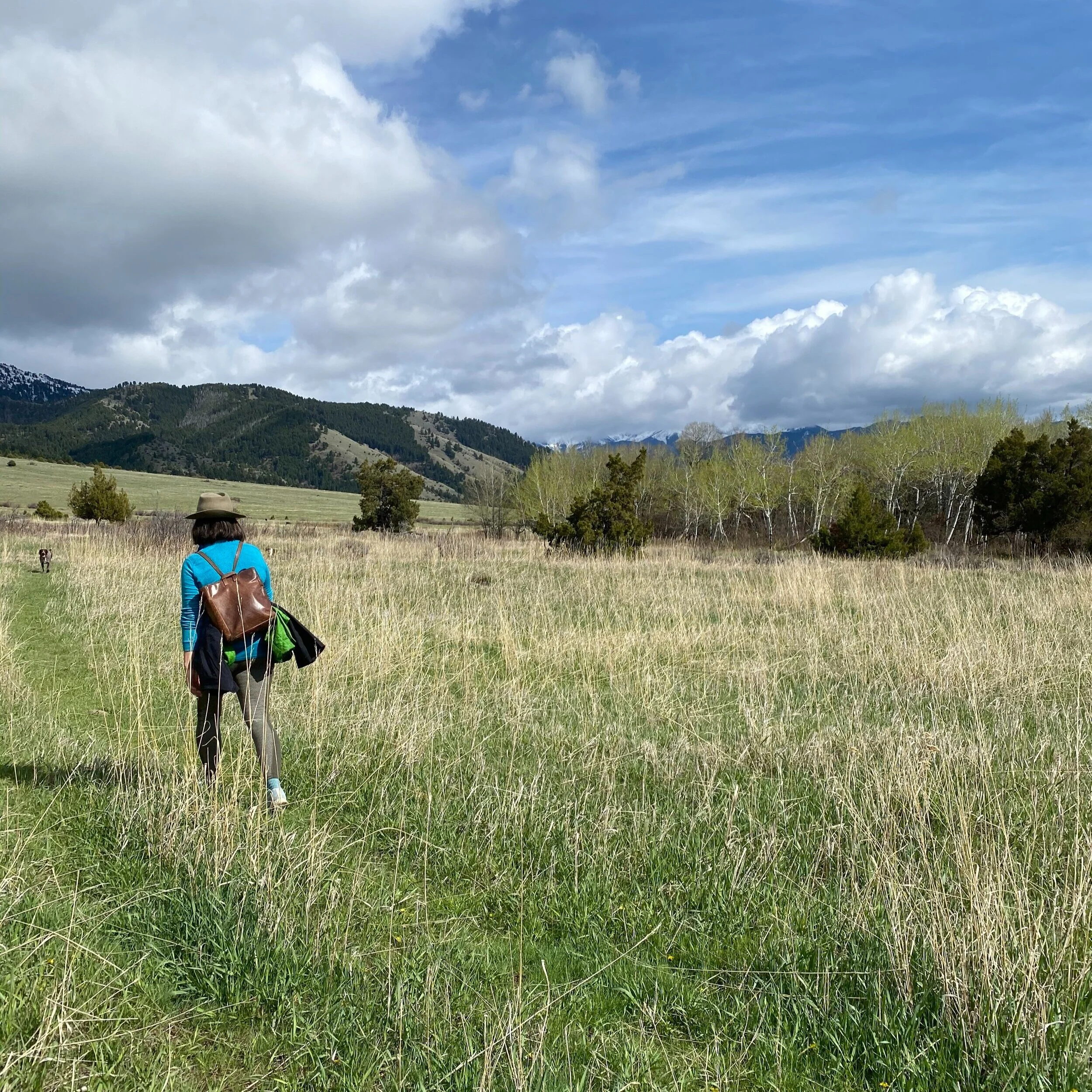 Melissa Blessing, Montana