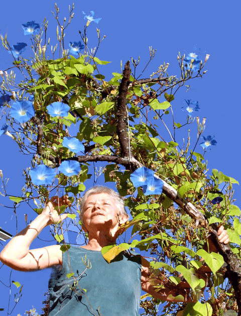 Robin Lloyd, Vermont